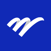 ERP Success Partners logo