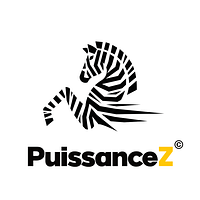 PuissanceZ logo