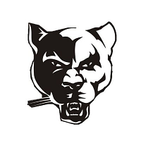 Shalom High School logo