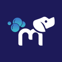 MACI Lead Prime logo