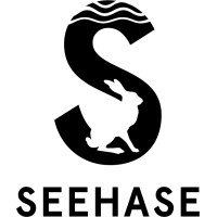 SEEHASE Consulting logo