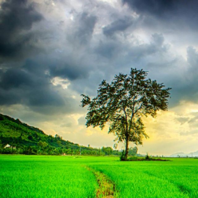 Sailaja Ayyalasomayajula